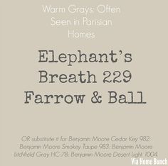 elephant's breath 223 farrow & ball