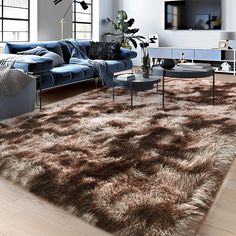 a living room filled with furniture and a large rug