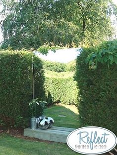 a garden with hedges and potted plants