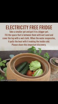 Electricity Free Fridge, Off Grid Living Self Sufficient, Power Outage Hacks, Easy Homesteading, Self Sufficient Living, Emergency Hacks, Survival Hacks, Survival Ideas, Doomsday Prepping