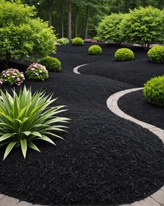 an outdoor garden with black mulch and green plants in the center, surrounded by shrubbery