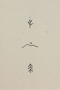 two trees are shown in the middle of a drawing