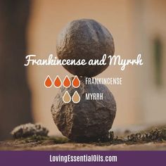 Frankincense and Myrrh Essential Oil Blend by Loving Essential Oils Galbanum Essential Oil, Benefits Of Frankincense Oil, Essential Oil Diffuser Benefits, Frankincense Essential Oil Benefits, Benzoin Essential Oil, Frankincense Essential Oil Uses, Frankincense Oil Uses, Elemi Essential Oil