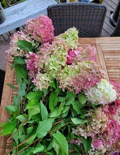 some pink and white flowers are on a table with green leaves in front of it