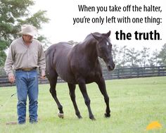 a man leading a black horse in a field with a quote about the truth behind it