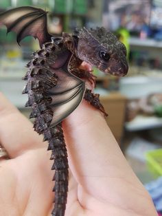 a baby dragon is being held in someone's hand