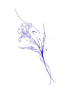 a drawing of a flower on a white background with blue ink in the foreground