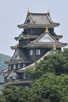 a tall building with many windows and gold decorations on it's roof, surrounded by trees