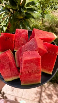 slices of watermelon on a black plate in front of some bushes and trees