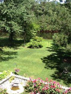 an aerial view of a lush green yard with flowers in the foreground and trees on the far side