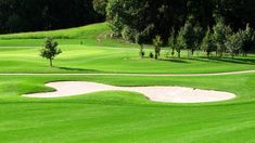 a golf course with green grass and trees