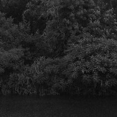 a man riding a surfboard on top of a body of water next to lush green trees