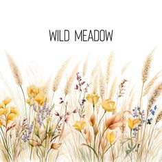 wild meadow flowers and grasses painted in watercolor on white paper with the words wild meadow