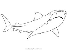 a drawing of a shark that is outlined in black and white