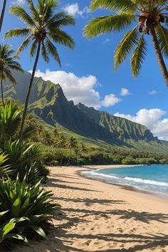 the beach is lined with palm trees and blue water in front of a mountain range