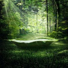 a bathtub sitting in the middle of a lush green forest with sunlight streaming through it