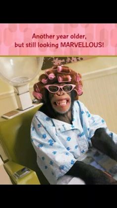 an image of a monkey with glasses on it's head sitting in a chair