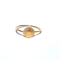 Elegant Shell-shaped Gold Rings, Elegant Gold Shell-shaped Rings, Ocean-inspired Shell-shaped Rings As Gift, Elegant Shell-shaped Ring For Gifts, Ocean-inspired Shell Rings For Beach, Gold Shell-shaped Gift Ring, Gold Shell-shaped Ring For Gift, Gold Shell Rings For Beach, 14k Gold Shell Jewelry For Gifts