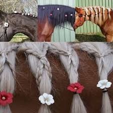 horses with braids and flowers in their hair