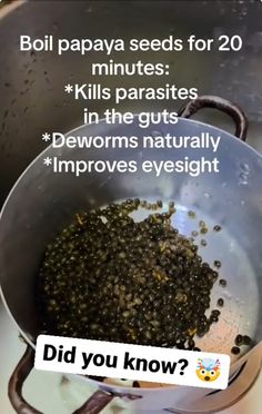 Papaya Seeds For Parasites, Papaya Seeds, Herbal Remedies Recipes, Parasite Cleanse, Sick Remedies, Food Health Benefits, Health Heal, Natural Healing Remedies, Herbal Healing