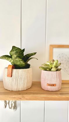 two potted plants sitting on top of a wooden shelf