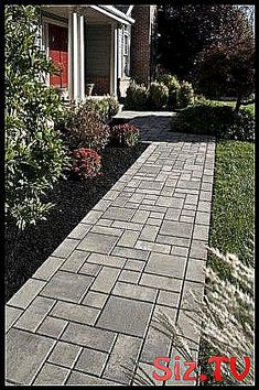 a brick walkway in the middle of a garden area with shrubs and flowers on either side