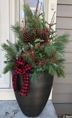 a large potted plant with pine cones and red berries on the front door sill