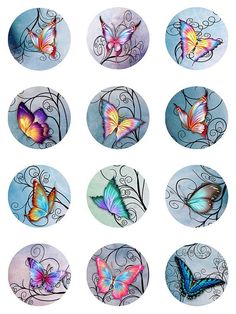 six different colored butterflies in circular frames