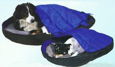 two dogs are laying in their beds on the floor, one is wearing a sleeping bag