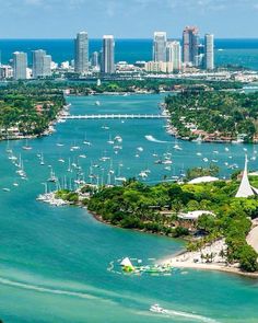 an aerial view of a city with boats in the water and palm trees surrounding it