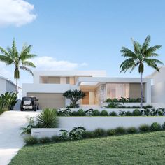 an artist's rendering of a modern house with palm trees in the front yard