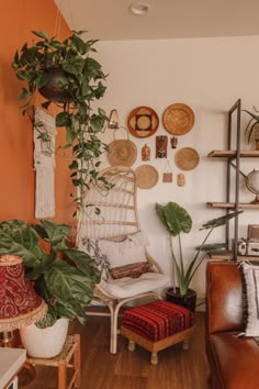 a living room filled with lots of plants and furniture