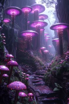 many purple mushrooms are growing in the forest