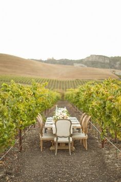 a table and chairs in the middle of a vineyard