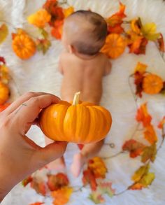 Cute baby fall photo idea for boys Fall Baby Picture Ideas, Baby Picture Ideas, Baby Holiday Photos, Monthly Pictures