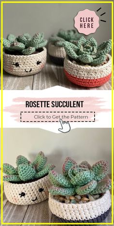 crocheted succulents are shown in two different pots