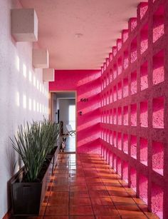 a hallway with pink walls and tiled flooring next to a potted plant on the side