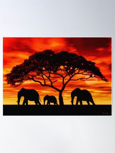 three elephants are standing under a tree at sunset