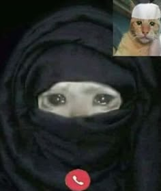 a cat wearing a headscarf with the caption hall love long relationship be like