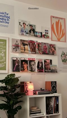 there is a book shelf with many books on it and a potted plant in the corner