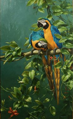 three parrots are sitting on the branches of a tree and one is looking at another bird