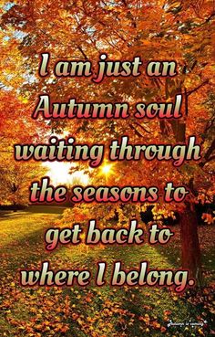 an autumn tree with the words i am just an autumn soul waiting through the seasons to get back to where i belong