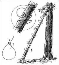 a drawing of two wooden poles and one is holding a musical instrument in its mouth