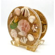 there is a glass plate with sea shells on it