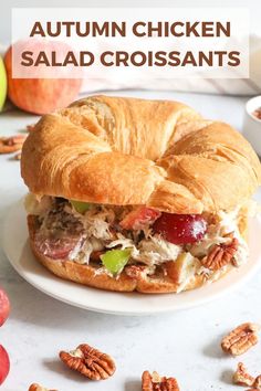 a chicken salad croissant on a white plate with pecans and apples in the background