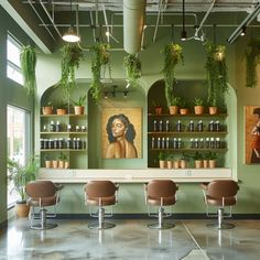 a salon with green walls and potted plants on the wall, chairs in front of it