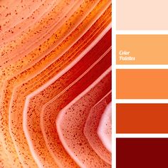 an orange and red color scheme with different shades