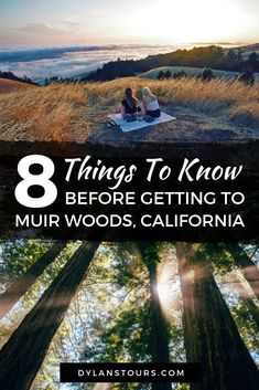 the sun shining through trees with text overlaying 8 things to know before getting to muir woods, california