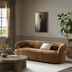 a living room with a couch, coffee table and potted plant