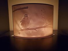 a bird is sitting on a branch in a glass case with light coming from behind it